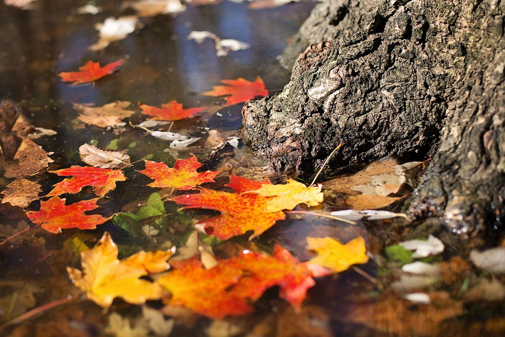 Погода в Беларуси