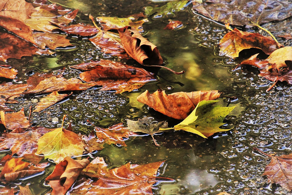 Погода в Беларуси