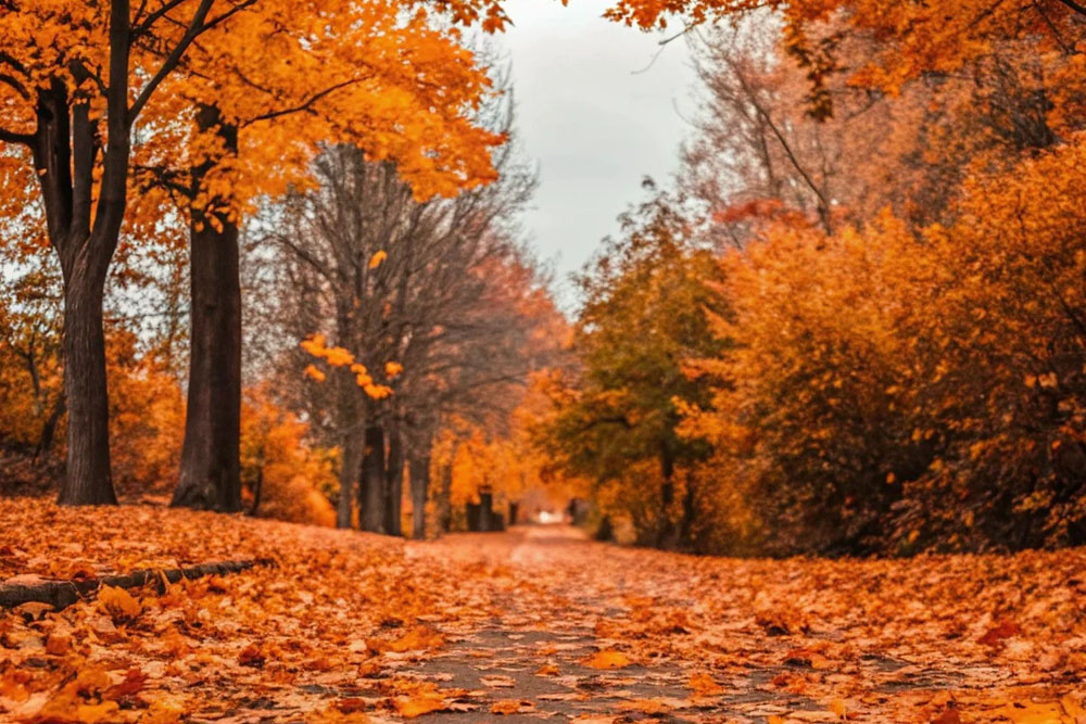 Погода в Беларуси