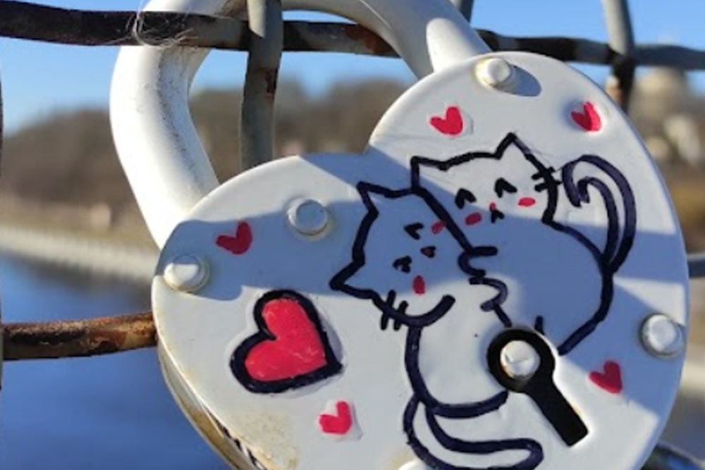 В Гомеле с перил моста через реку Сож срезали «замки любви»  Мост через Сож в Гомеле