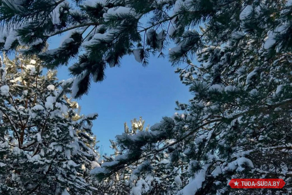 Арктическое дыхание февраля в Беларуси на предстоящей неделе Погода в Беларуси