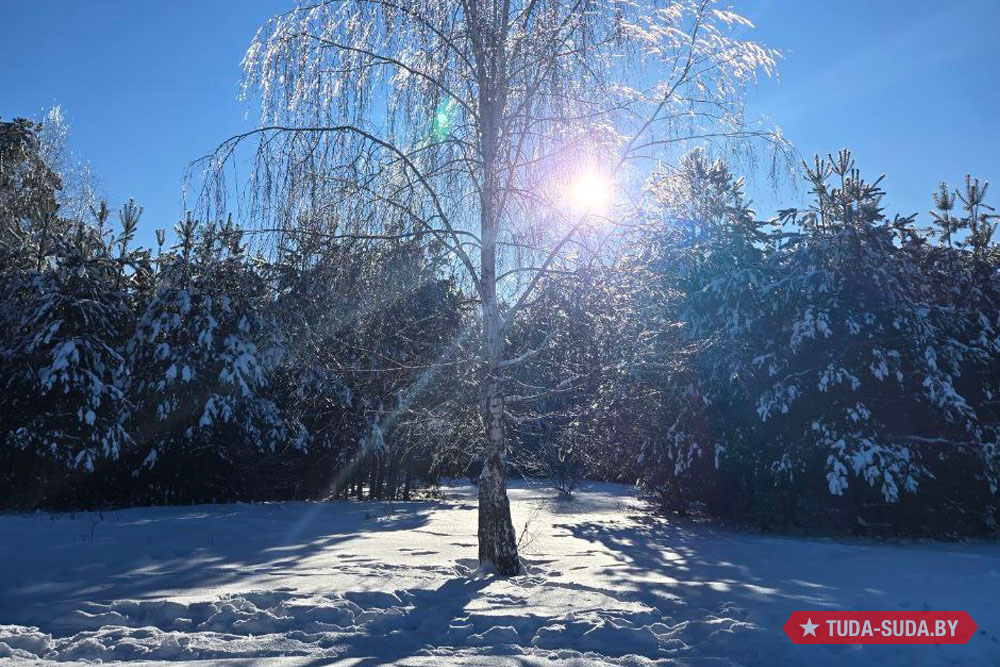 Погода в Беларуси