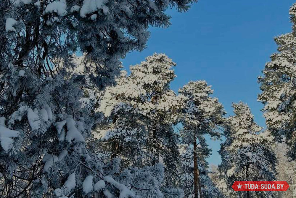 Погода в Беларуси