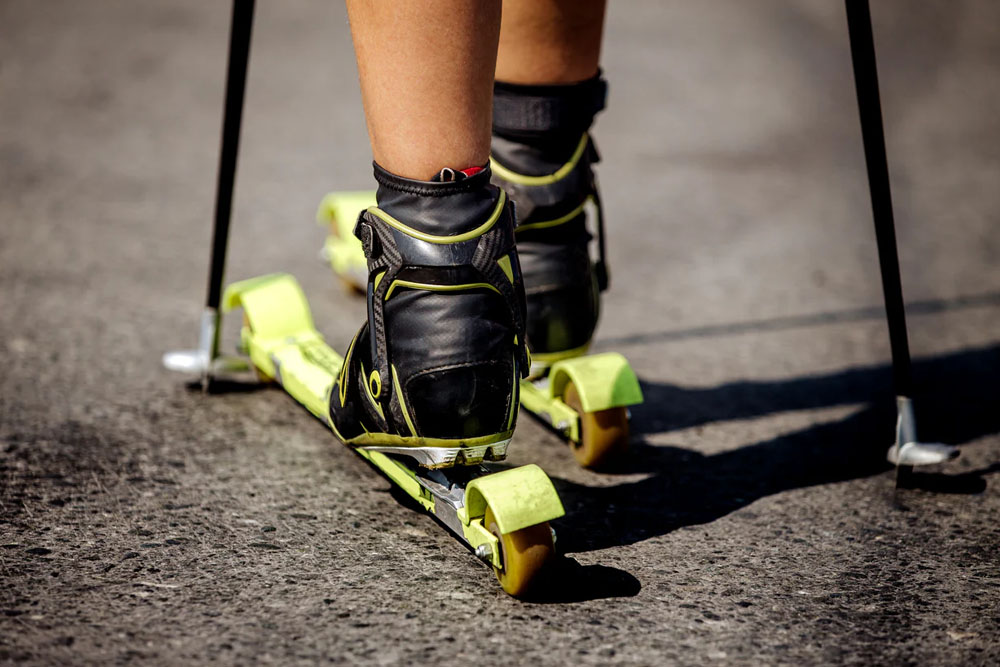 Лыжероллерная трасса