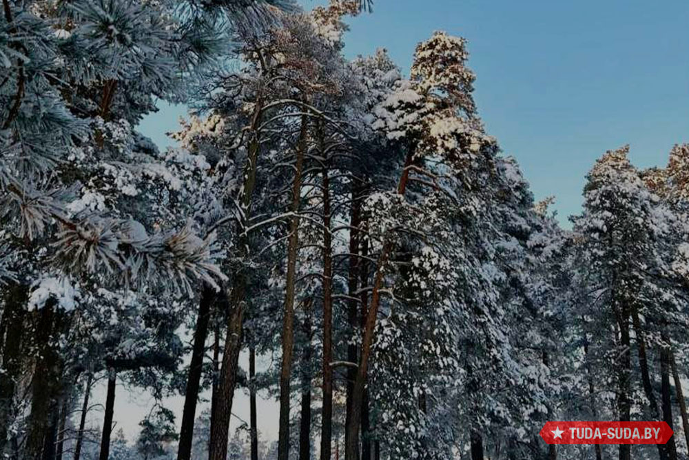 Погода в Беларуси