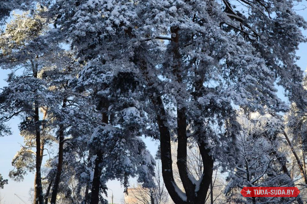 В Беларуси будет даже засуха. А что на предстоящей неделе? Погода в Беларуси