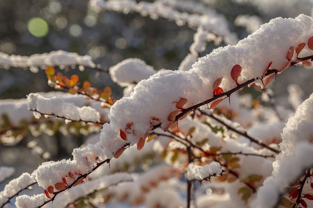 А Москве пророчат снег Погода в Москве и Подмосковье