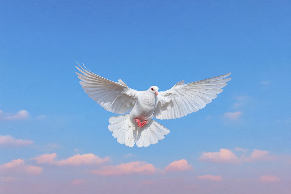 Как подписать конверт